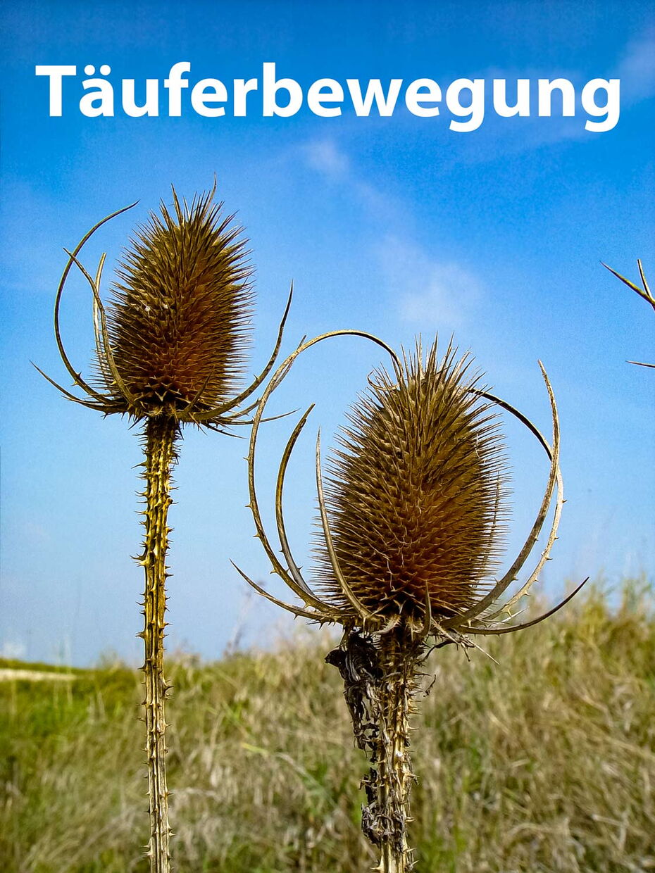 Täuferbewegung, Täufer Bewegung.